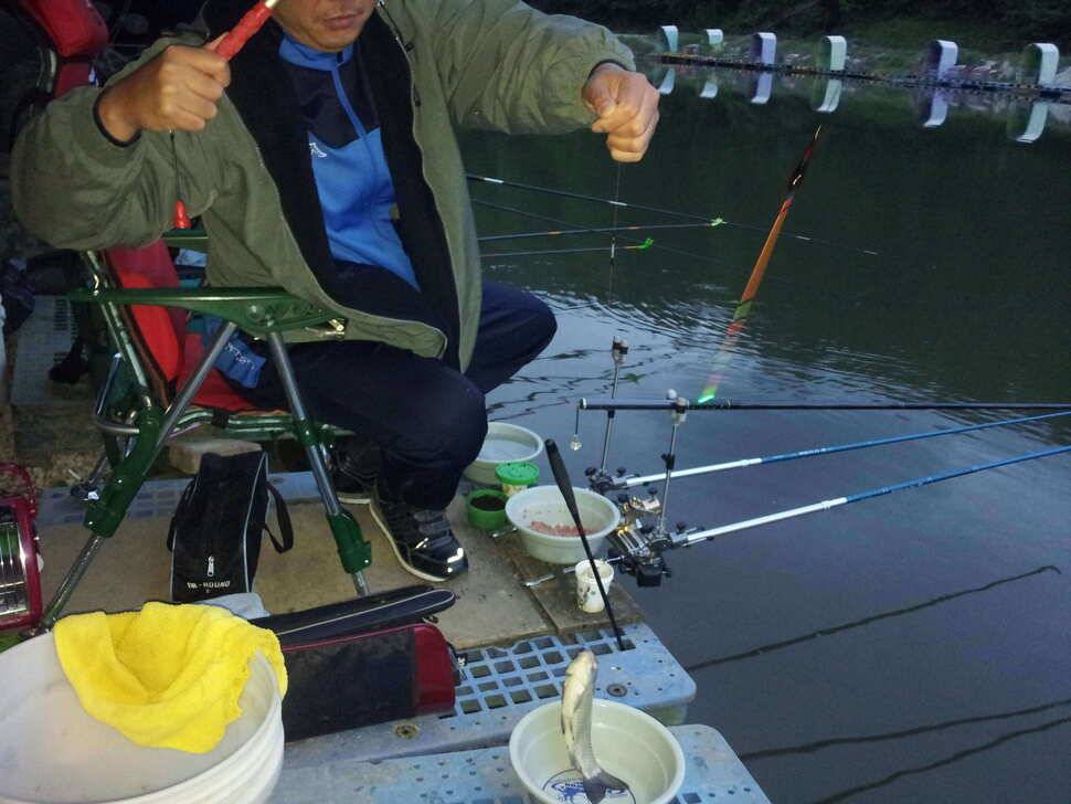 찌맛이 그리워 다시찾은 경주 낚시터 (유료터정보 - 유료터조행기)