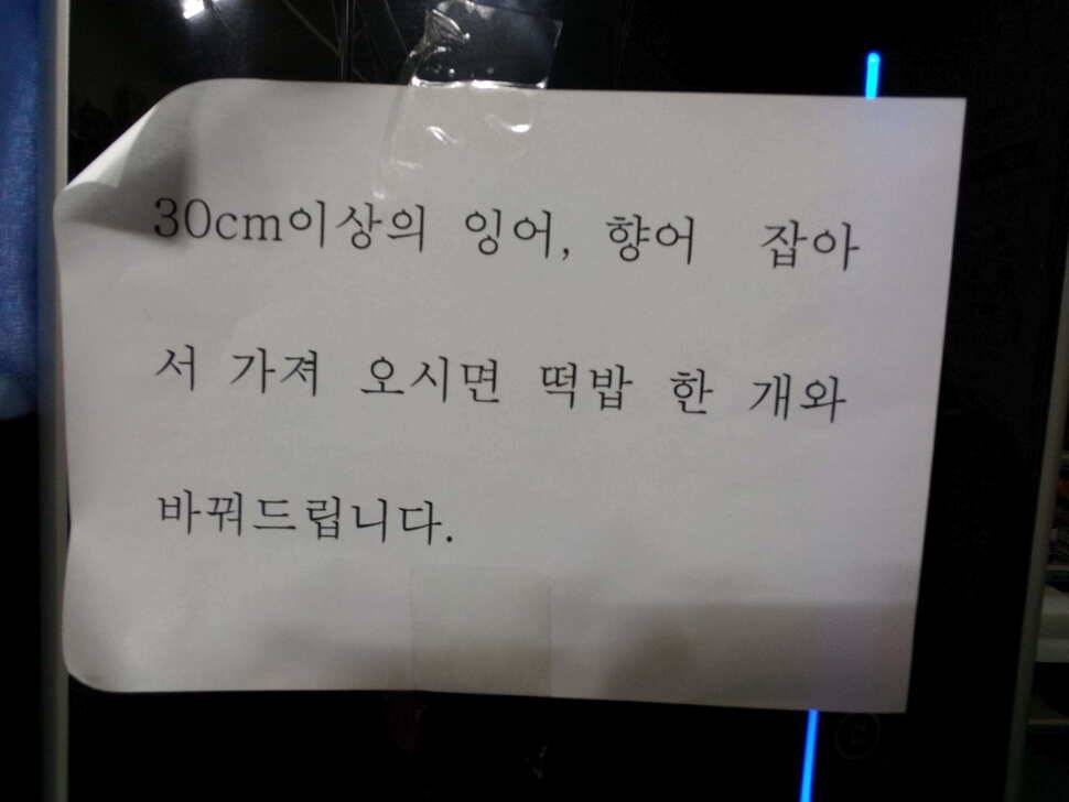 찌맛이 그리워 다시찾은 경주 낚시터 (유료터정보 - 유료터조행기)