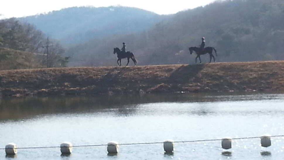 물돼지 향어손맛 (유료터정보 - 유료터조행기)