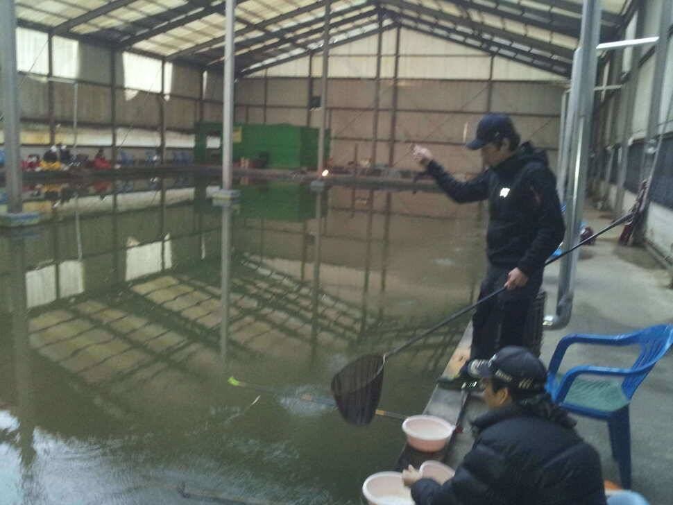이번에는왜관 자연 하우스 낚시터입니다ㅎ (유료터정보 - 유료터조행기)