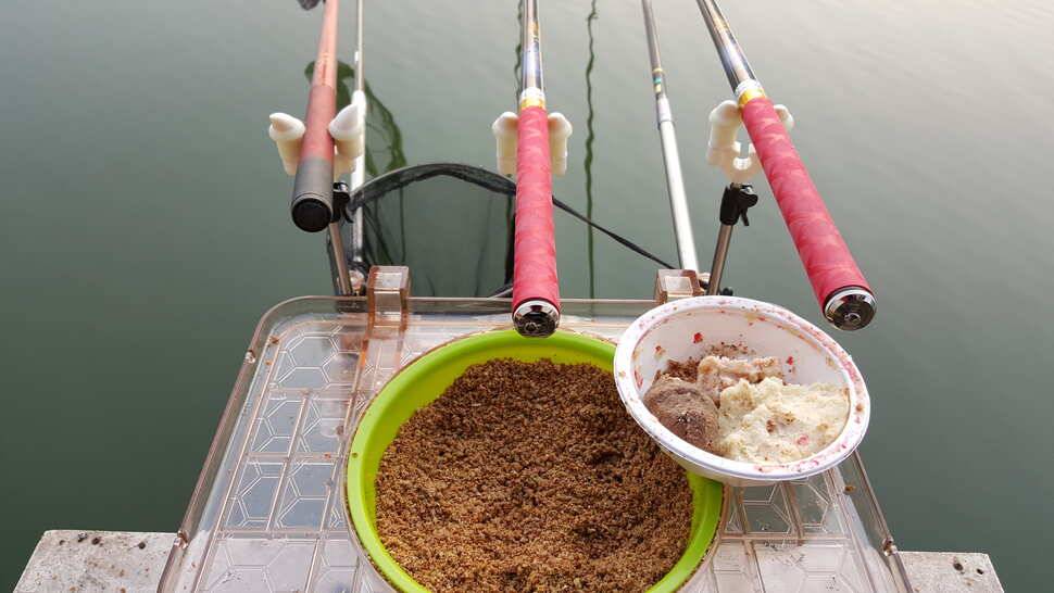 321 대석낚시터 다녀왔네요 (유료터정보 - 유료터조행기)