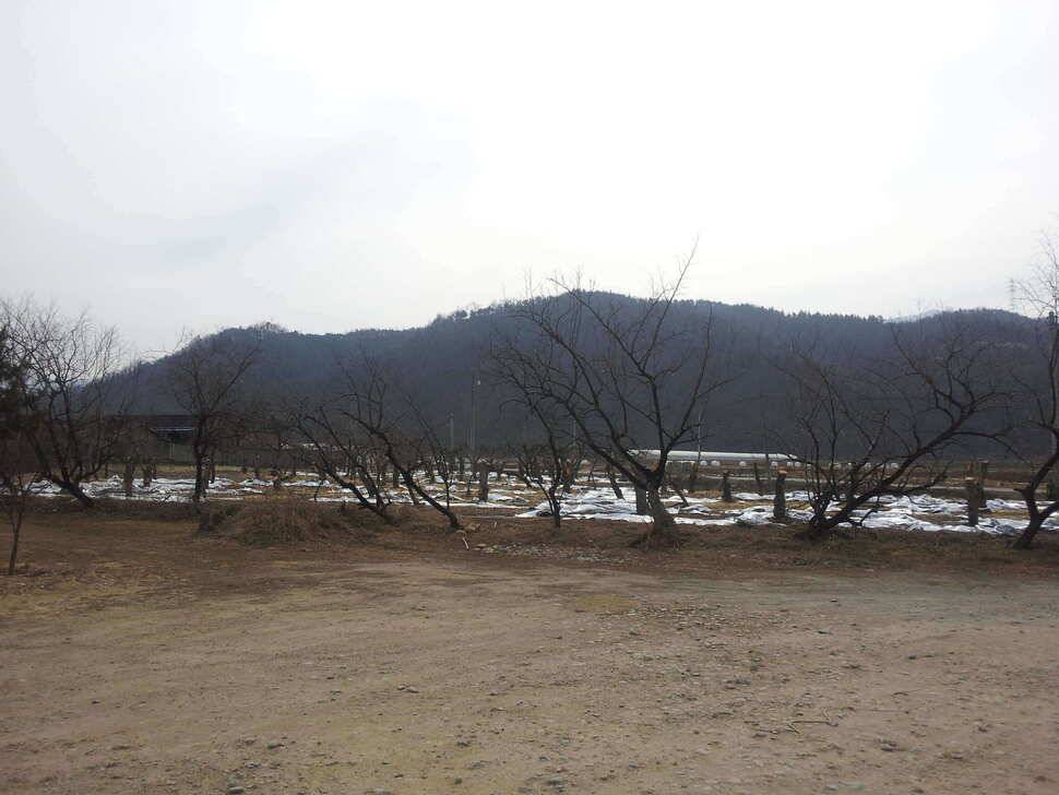 팔공에서짬낚시를ㅎ (유료터정보 - 유료터조행기)