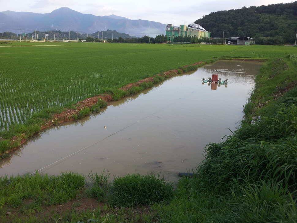 오늘은이서 낚시터로 고고씽 (유료터정보 - 유료터조행기)