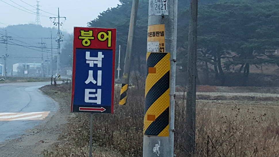다산 나정 붕어전용 하우스 (유료터정보 - 유료터조행기)