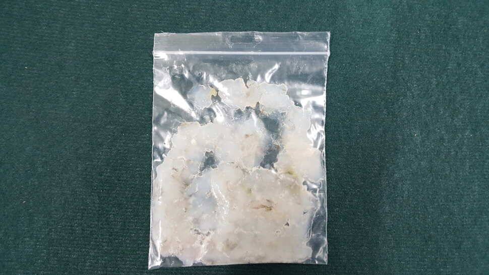 신계낚시터대물사냥 (유료터정보 - 유료터조행기)