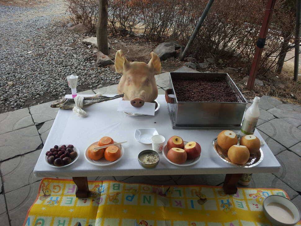 무태에서동화까지 (유료터정보 - 유료터조행기)