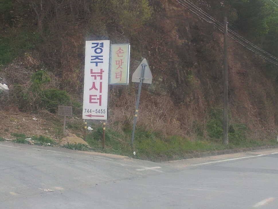 경주 낚시터로의 봄나들이 (유료터정보 - 유료터조행기)