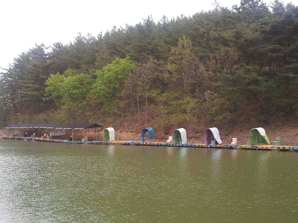 경주 낚시터로의 봄나들이 (유료터정보 - 유료터조행기)