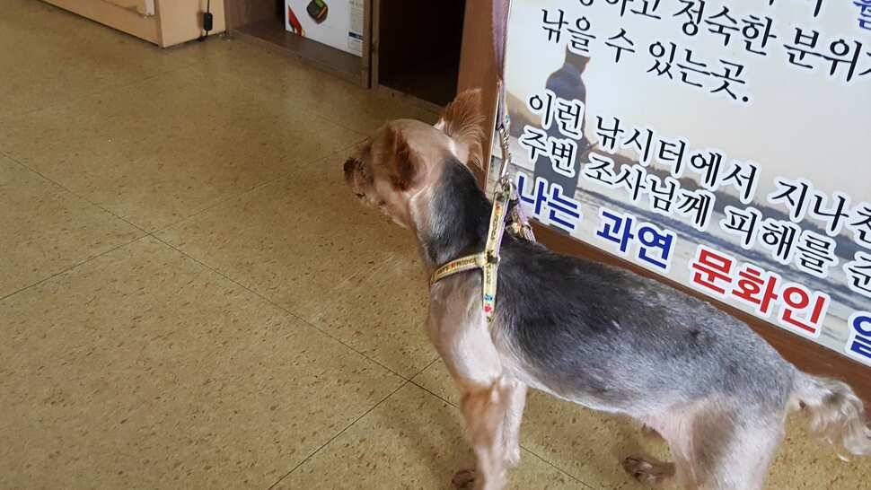 까칠한 붕어 까칠한 날씨 (유료터정보 - 유료터조행기)