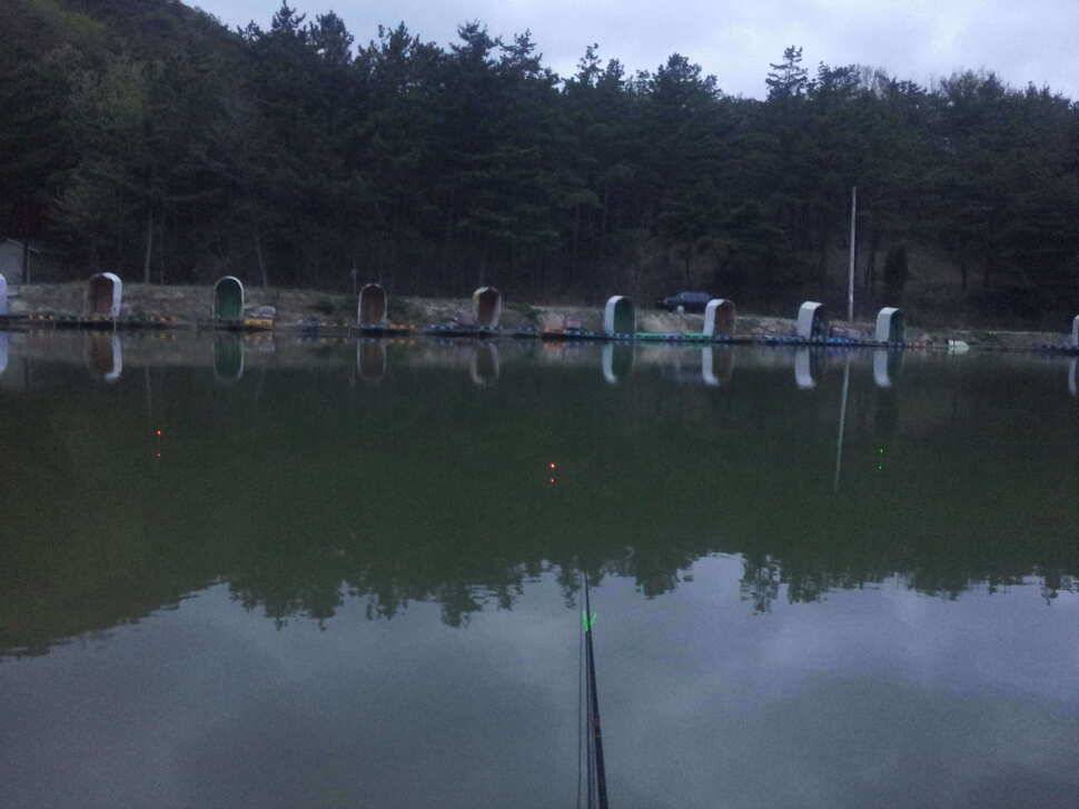 경주 낚시터로의 봄나들이 (유료터정보 - 유료터조행기)