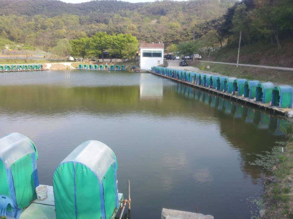 주말 고령벌지와 가곡지를 다녀와서 (유료터정보 - 유료터조행기)