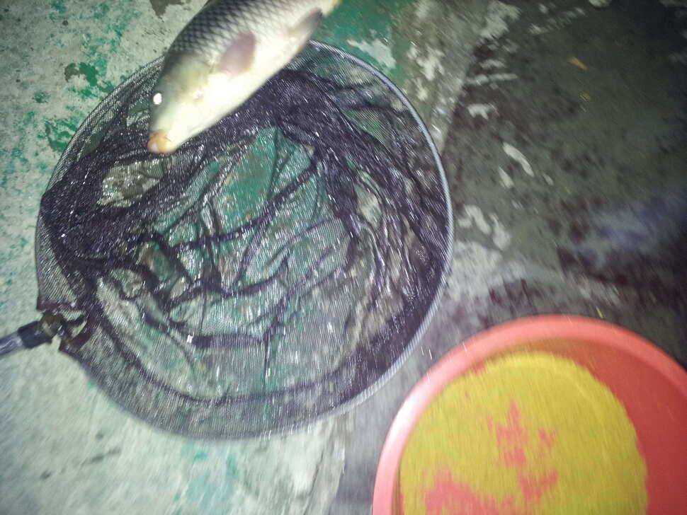 청도 이서 하우스에왔답니다 (유료터정보 - 유료터조행기)