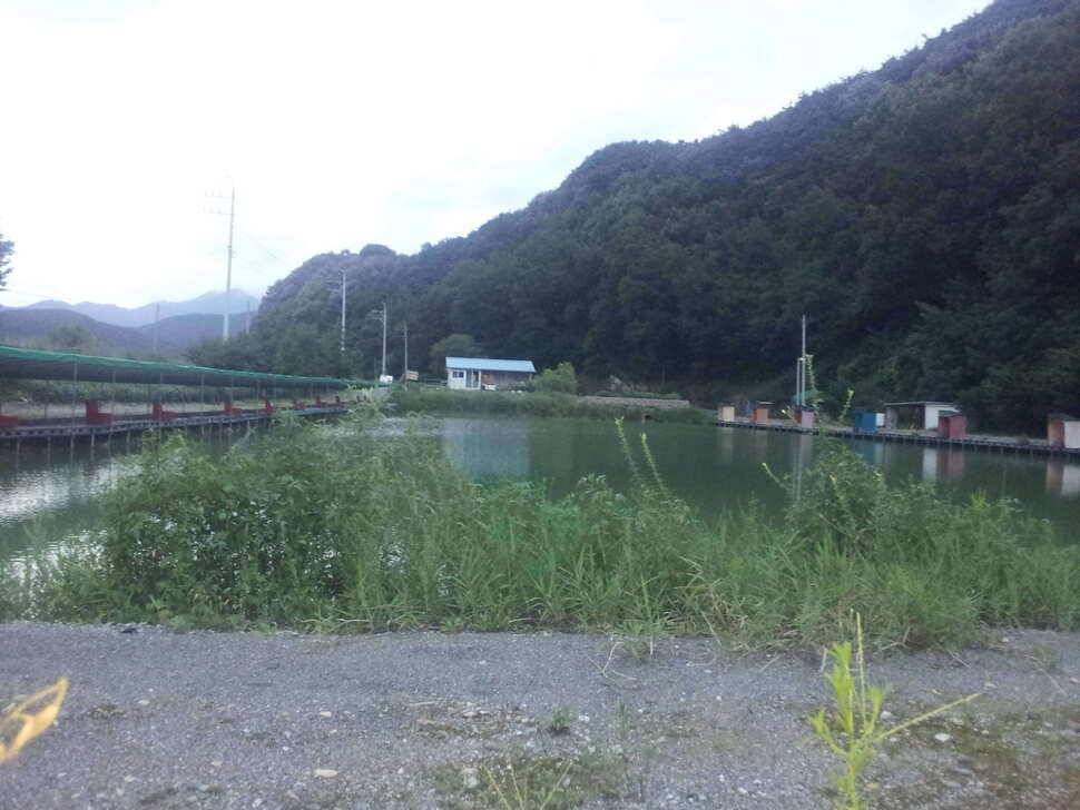 처음가본고령 보물섬낚시터 (유료터정보 - 유료터조행기)