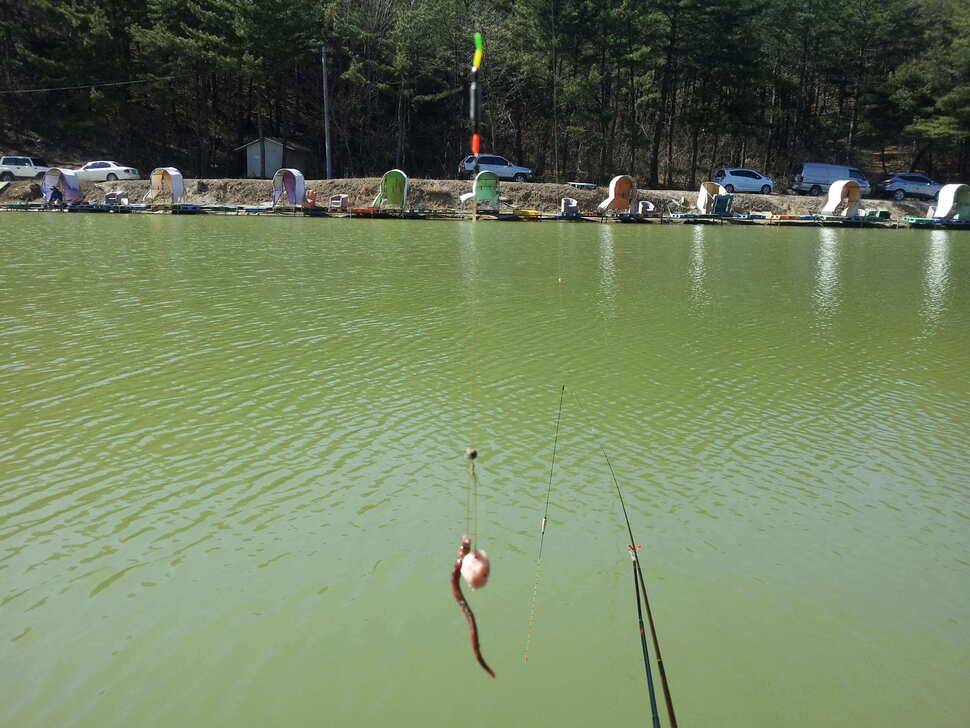경주 찍고칠곡으로 (유료터정보 - 유료터조행기)
