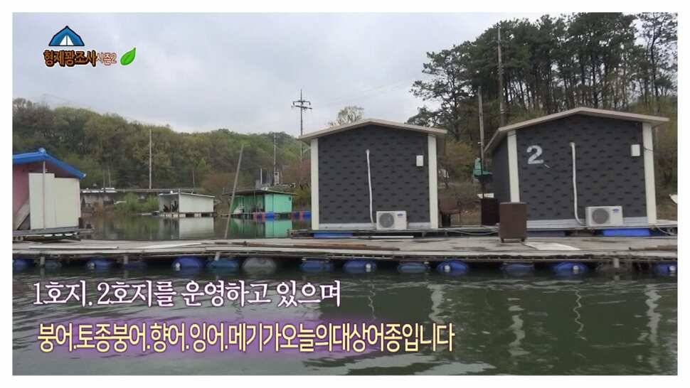 형제꽝조사 안성상지랜드낚시터 산란끝 토종붕어 힘이 좋다는데 (유료터정보 - 유료터조행기)