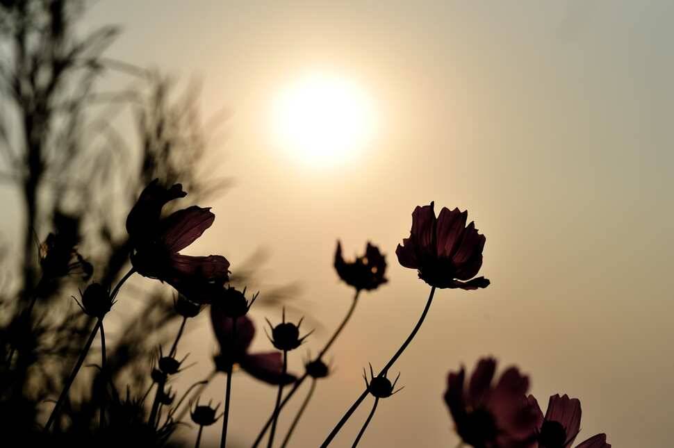 포천 가산낚시터 소식입니다 (유료터정보 - 유료터조행기)