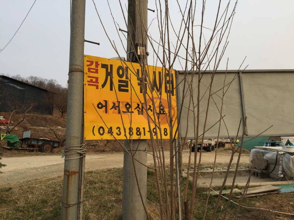 오산나그네의 거일낚시터 조행기 (유료터정보 - 유료터조행기)