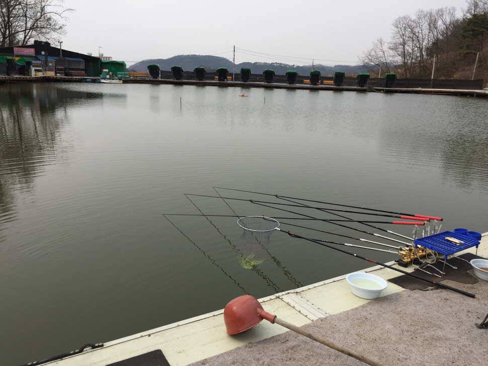 오산나그네의 거일낚시터 조행기 (유료터정보 - 유료터조행기)