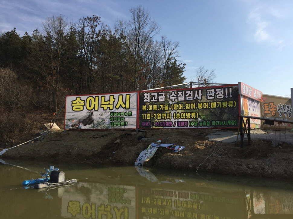의성 나영자토종 양어장낚시터 짬낚조행기 (유료터정보 - 유료터조행기)