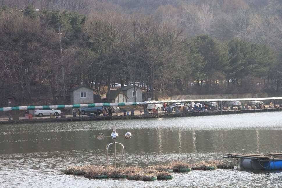 붕어는 바람을 타고 (유료터정보 - 유료터조행기)