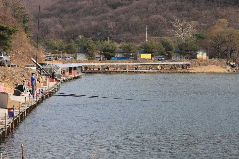 붕어는 바람을 타고 (유료터정보 - 유료터조행기)