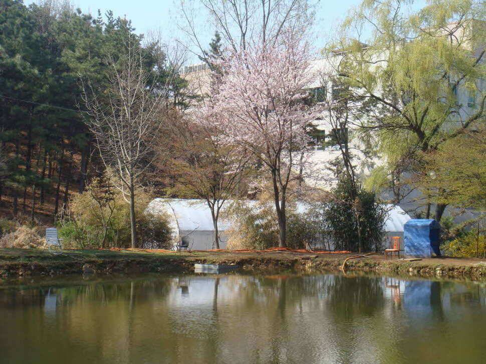 헛챔질의 유료터 1번째 조행기 (유료터정보 - 유료터조행기)