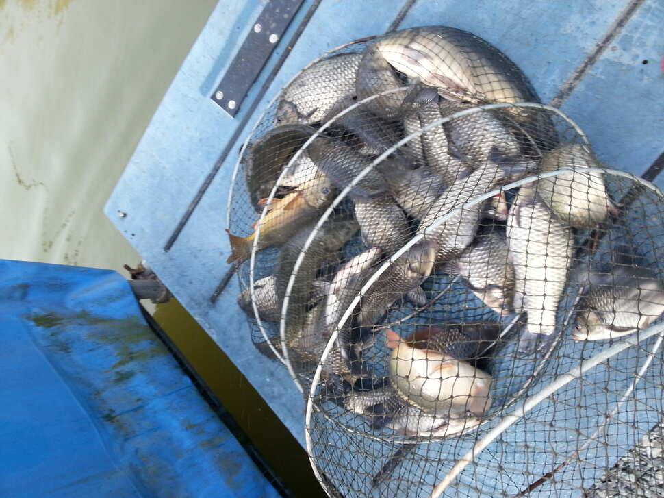 오창일신 밤낚시 나오기 시작합니다 (유료터정보 - 유료터조행기)
