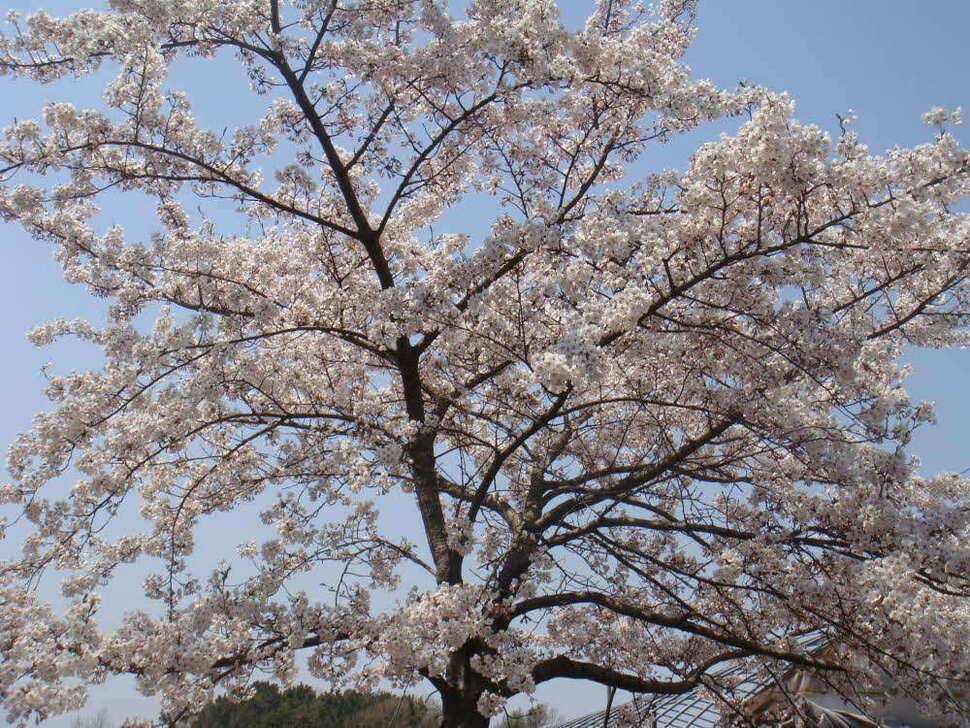 헛챔질의 유료터 1번째 조행기 (유료터정보 - 유료터조행기)