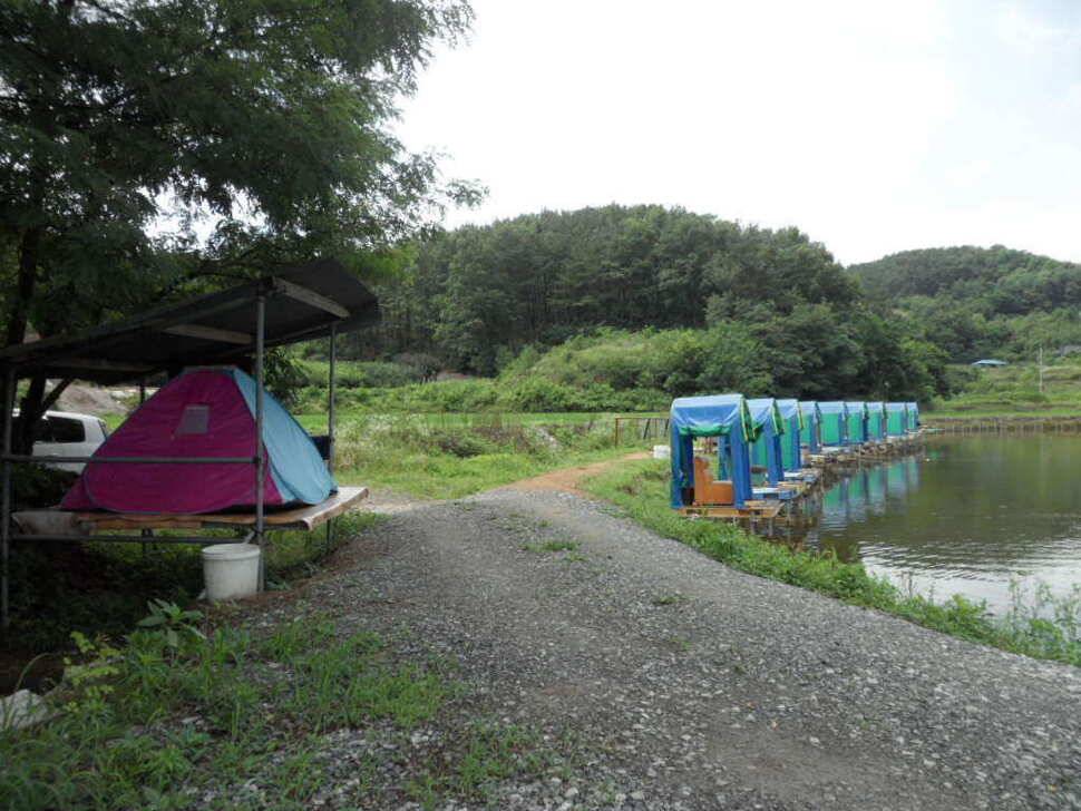 한 무더위 속에서 띄밭 낚시터 (유료터정보 - 유료터조행기)