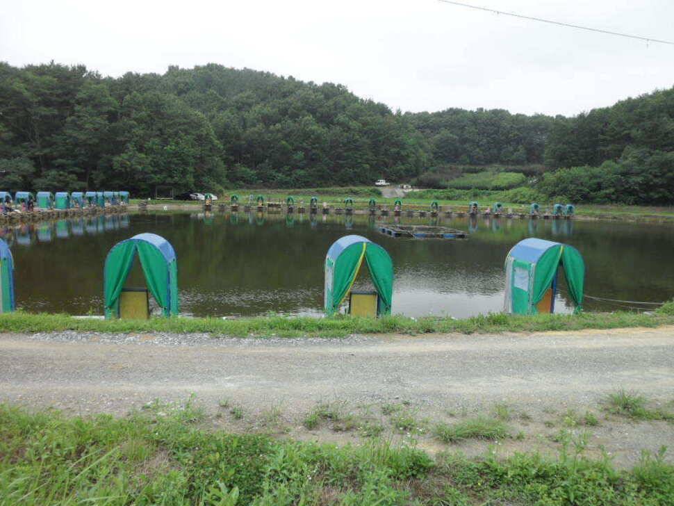 한 무더위 속에서 띄밭 낚시터 (유료터정보 - 유료터조행기)