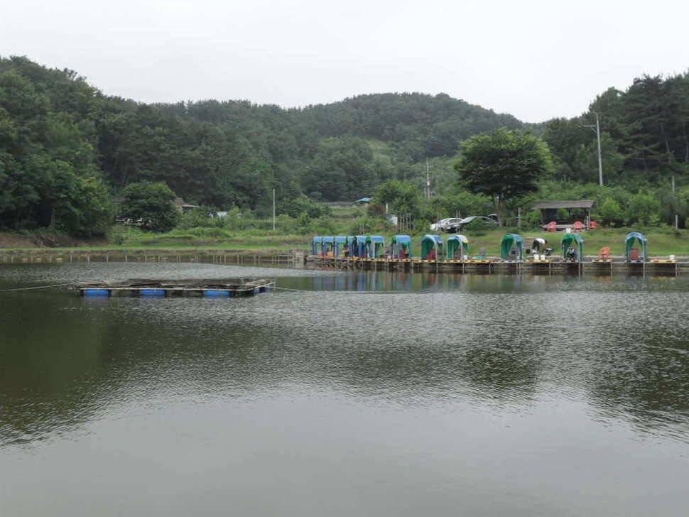 한 무더위 속에서 띄밭 낚시터 (유료터정보 - 유료터조행기)