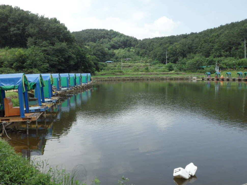 한 무더위 속에서 띄밭 낚시터 (유료터정보 - 유료터조행기)