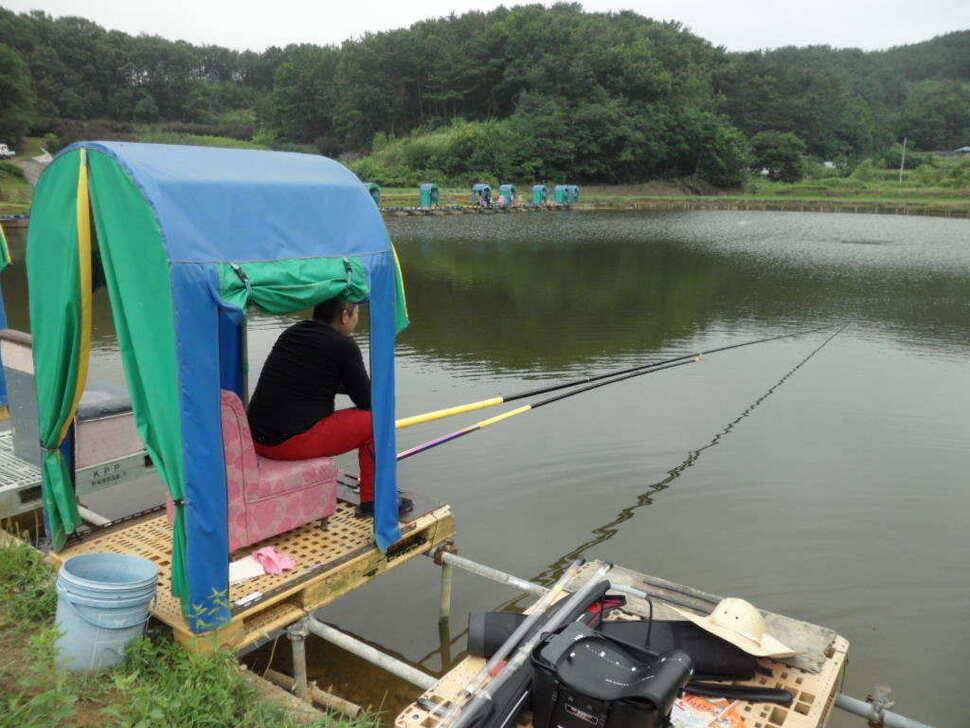 한 무더위 속에서 띄밭 낚시터 (유료터정보 - 유료터조행기)