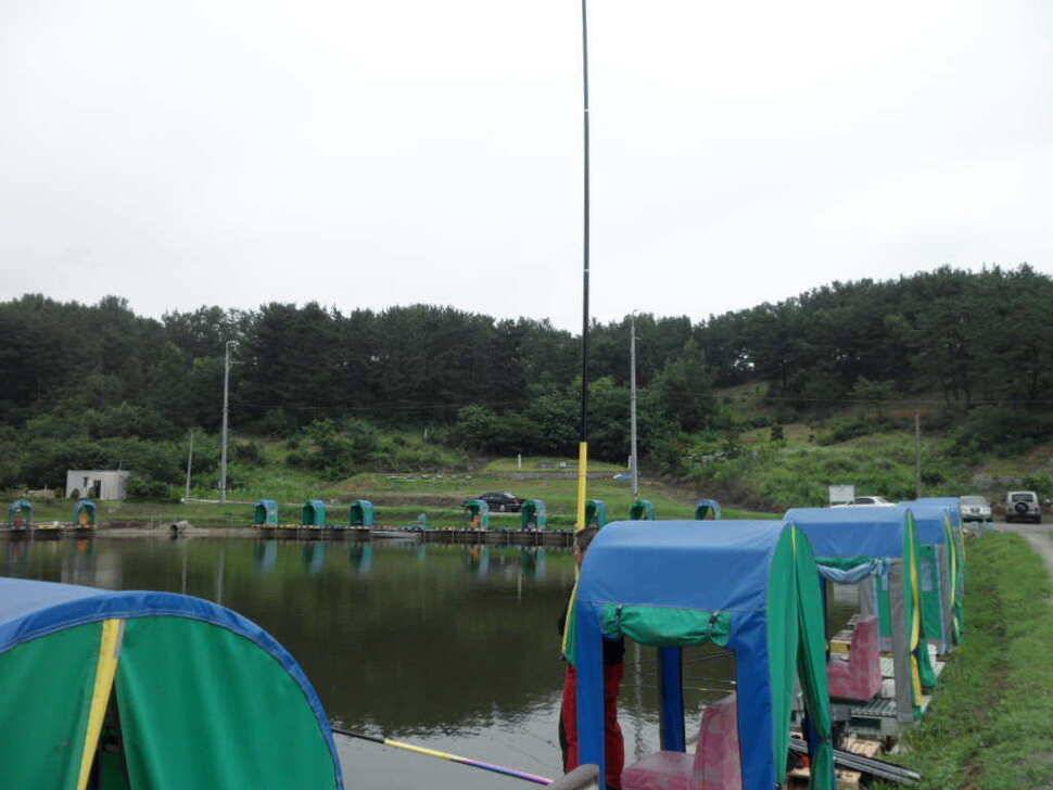 한 무더위 속에서 띄밭 낚시터 (유료터정보 - 유료터조행기)