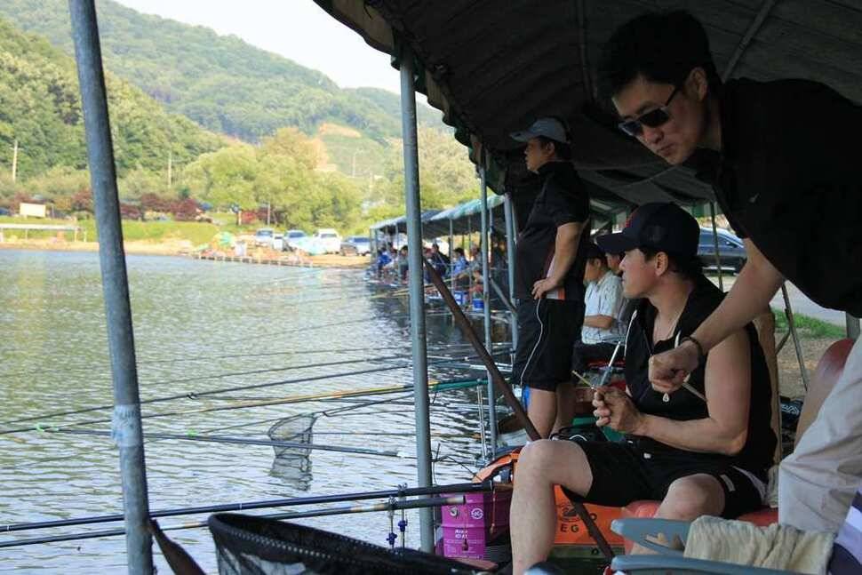 지금 진우낚시엔 메기가 대박 (유료터정보 - 유료터조행기)