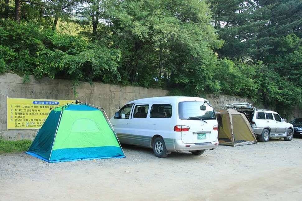 지금 진우낚시엔 메기가 대박 (유료터정보 - 유료터조행기)