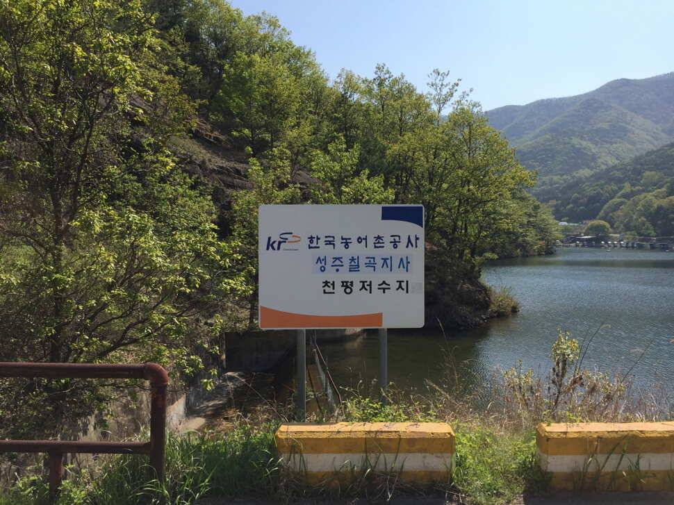 오산나그네의 천평낚시터 조행기 (유료터정보 - 유료터조행기)