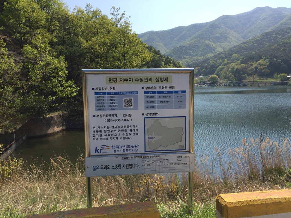 오산나그네의 천평낚시터 조행기 (유료터정보 - 유료터조행기)