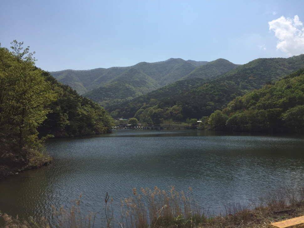 오산나그네의 천평낚시터 조행기 (유료터정보 - 유료터조행기)