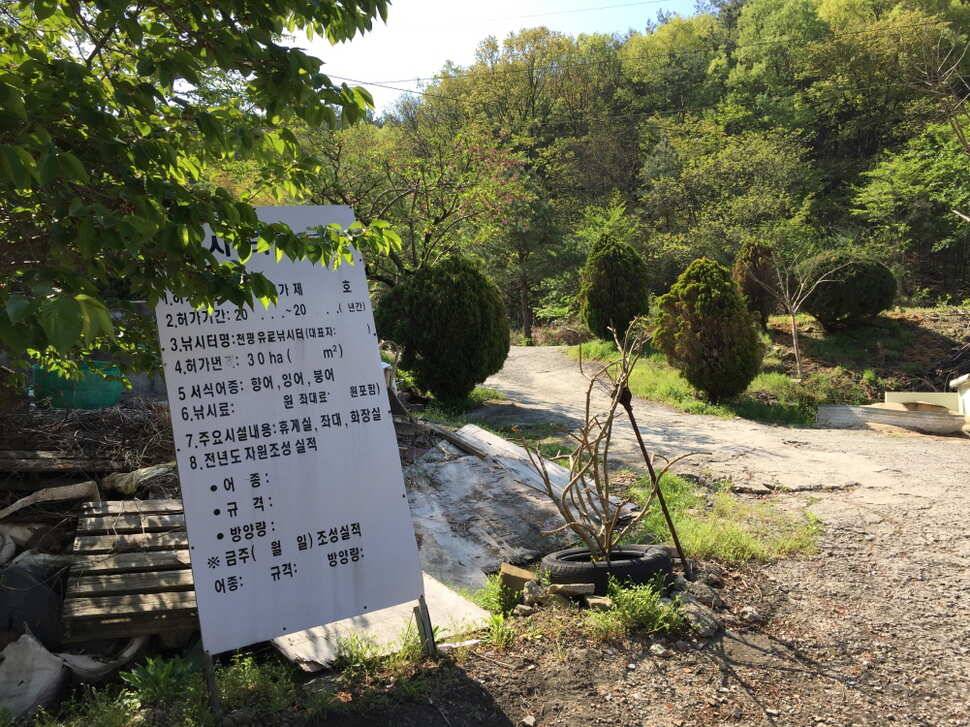 오산나그네의 천평낚시터 조행기 (유료터정보 - 유료터조행기)