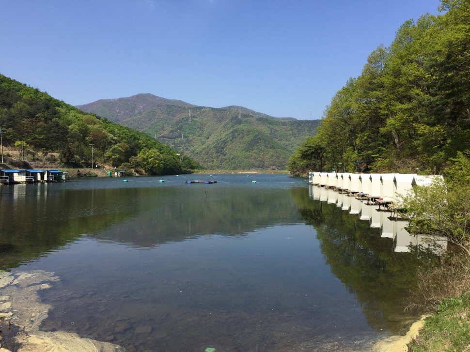 오산나그네의 천평낚시터 조행기 (유료터정보 - 유료터조행기)