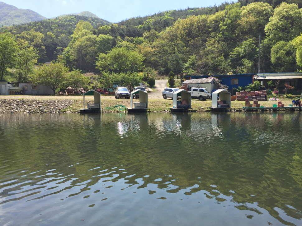 오산나그네의 천평낚시터 조행기 (유료터정보 - 유료터조행기)