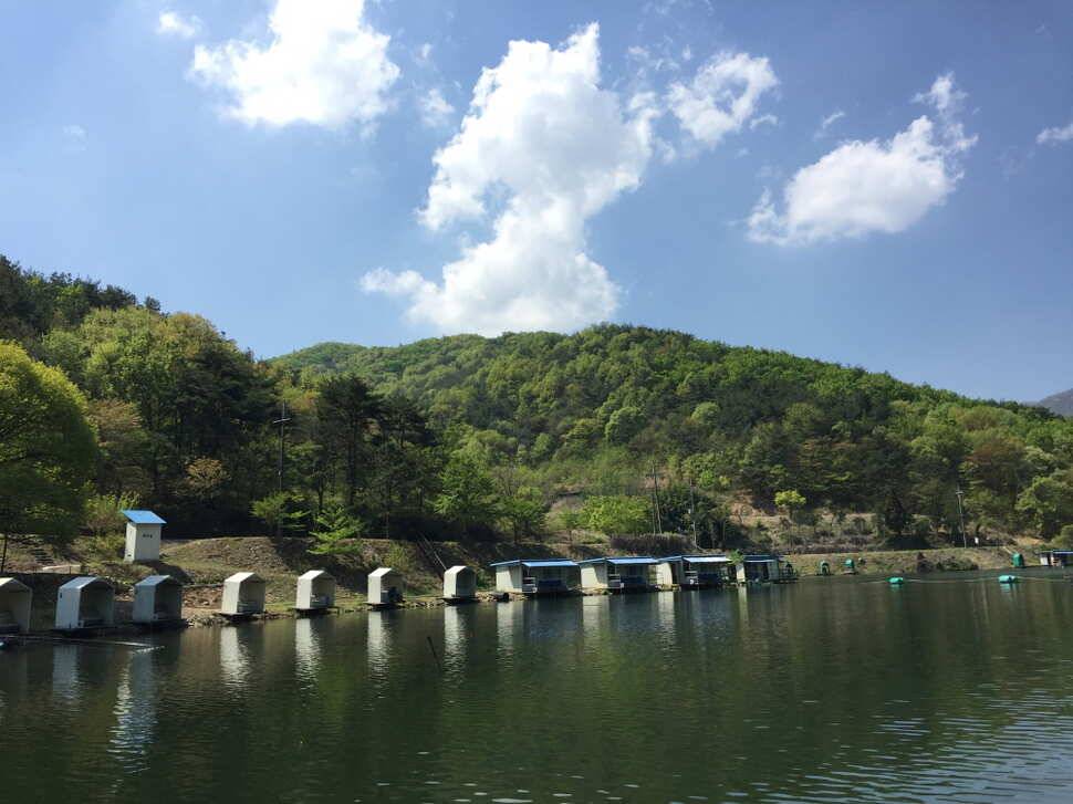 오산나그네의 천평낚시터 조행기 (유료터정보 - 유료터조행기)