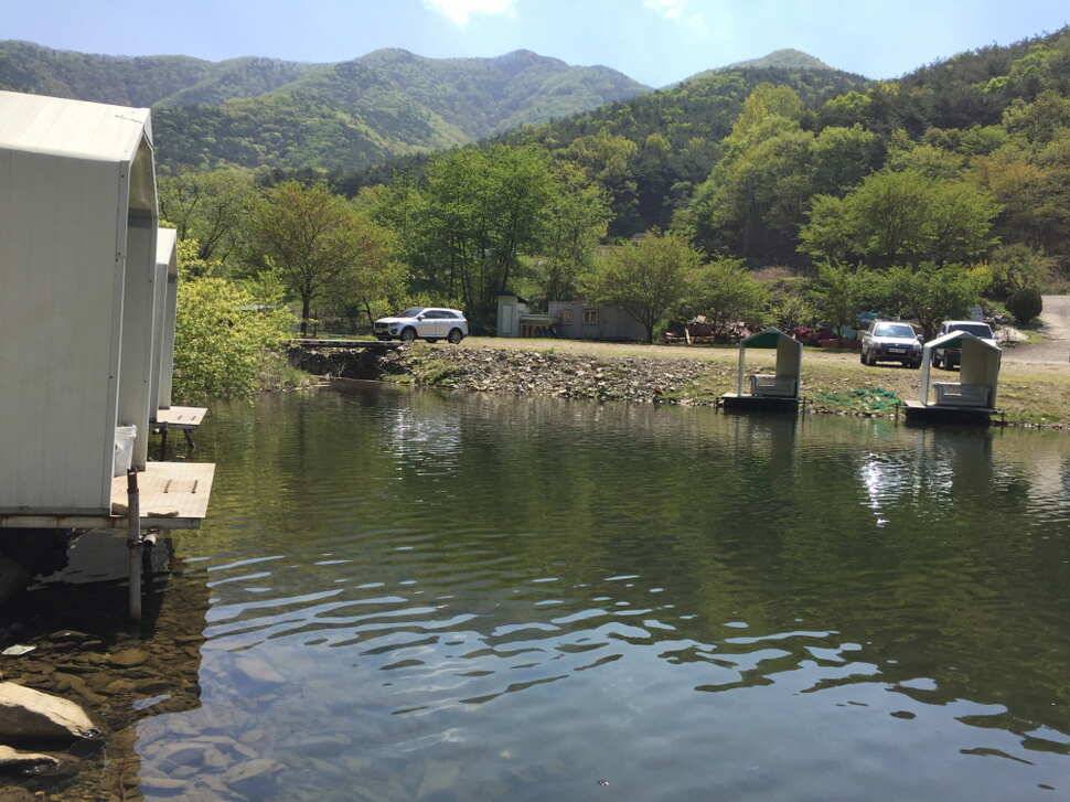 오산나그네의 천평낚시터 조행기 (유료터정보 - 유료터조행기)