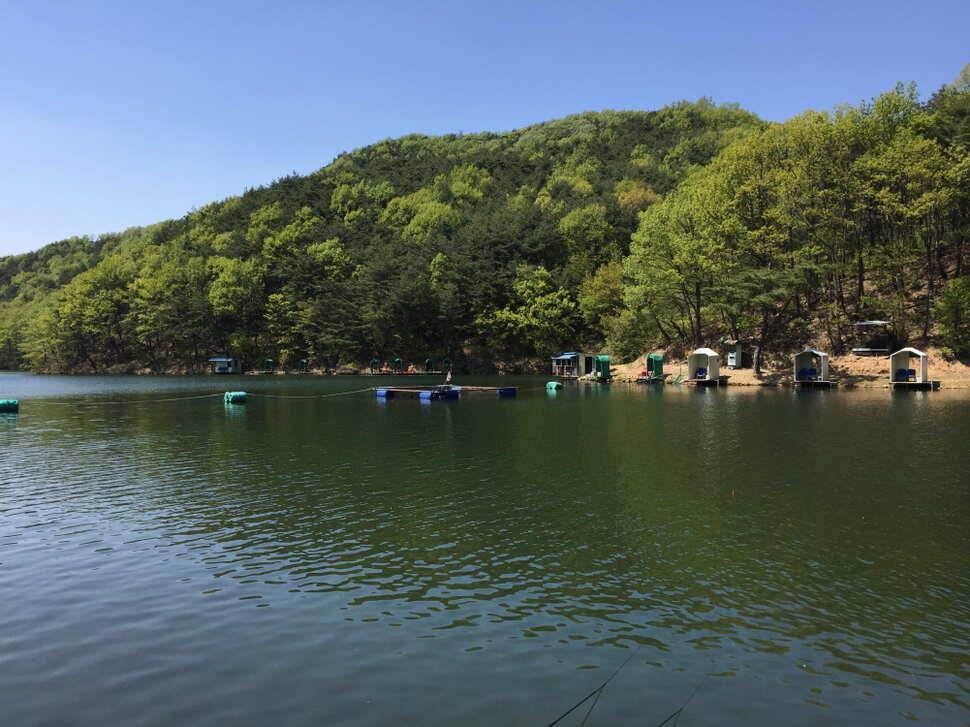오산나그네의 천평낚시터 조행기 (유료터정보 - 유료터조행기)