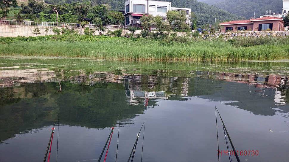 춘천 의암호 거북이 낚시터 (유료터정보 - 유료터조행기)