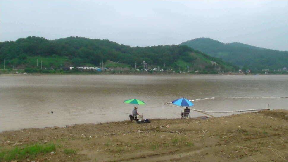 비온뒤의 물왕지 상황 (유료터정보 - 유료터조행기)