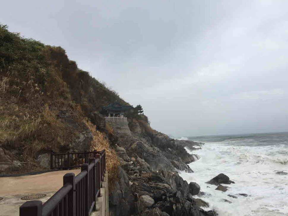 오산나그네의 대명하우스 낚시터의 짬낚 조행기 (유료터정보 - 유료터조행기)