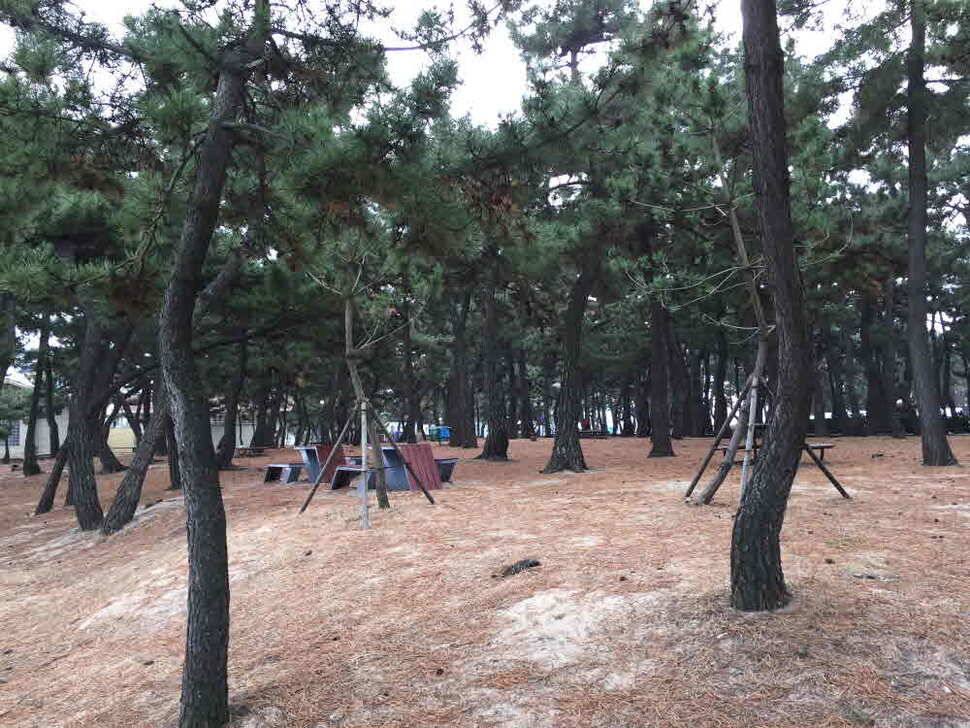 오산나그네의 대명하우스 낚시터의 짬낚 조행기 (유료터정보 - 유료터조행기)