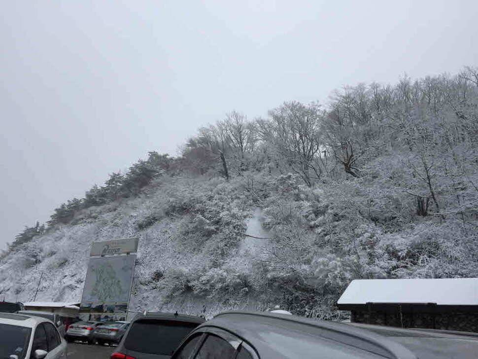오산나그네의 대명하우스 낚시터의 짬낚 조행기 (유료터정보 - 유료터조행기)
